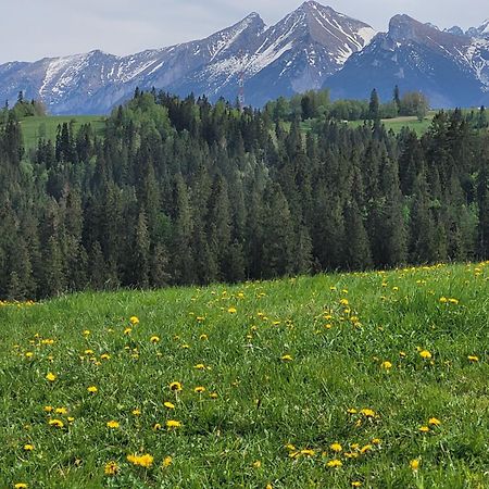 Pokoje U Julki Bukowina Tatrzańska Kültér fotó